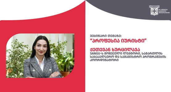 ვებინარი თემაზე: „პროფესია-იურისტი“